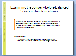 Examine company before BSC implementation